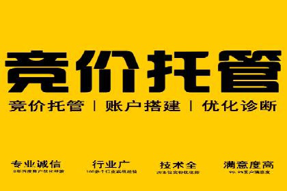 案例解析：竞价代运营如何提高广告投放效果